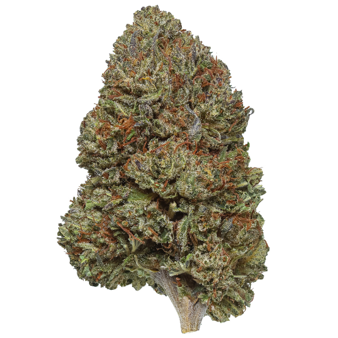 Bubba Kush 12 – Premium Kush Bubba Strain | Healthy Gnome