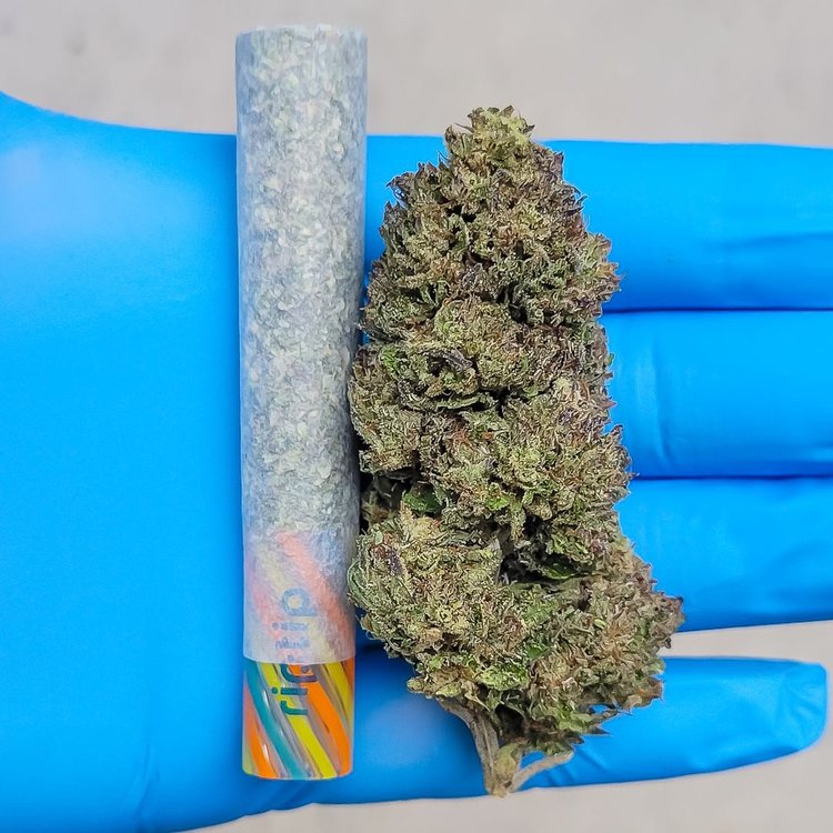 Bubba Kush 12 – Premium Kush Bubba Strain | Healthy Gnome